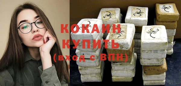 соль ск Алзамай