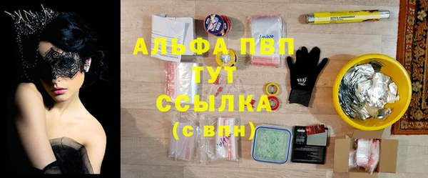 индика Покров